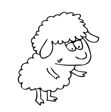 nice little sheep. vector image