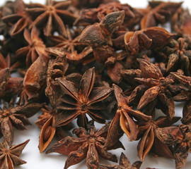 sternanis