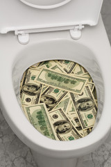 A lot of money is flushed down the toilet.