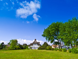Friesenhaus in Nebel