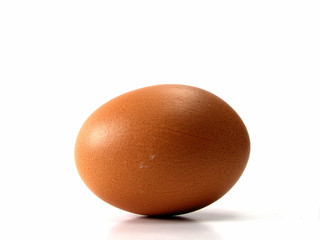 Brown egg isolated on white background