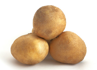 Potatoes