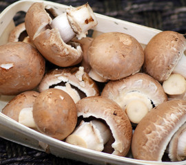 Braune Champignons