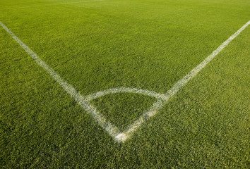 Fototapeta premium Green grass field and corner lines
