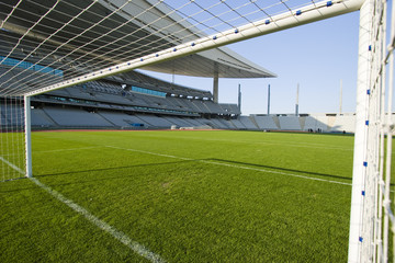 The Goal and The Stadium