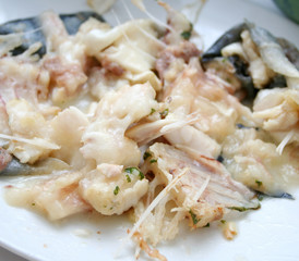 fischabfall