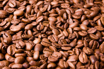 Coffe Beans forming a Background