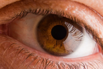 Eye Macro