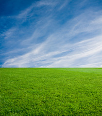 Obraz na płótnie Canvas Green Grass and The Blue Sky
