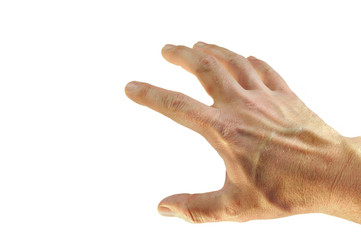 Hand 8