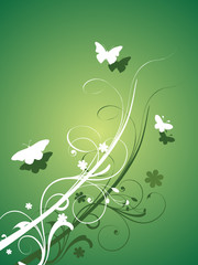 beauty spring background