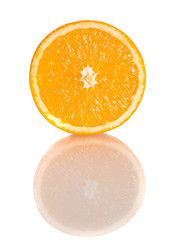 Orange segment