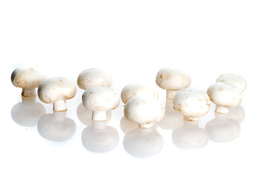 Fresh field mushrooms.