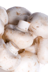 Fresh field mushrooms.