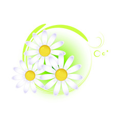 Floral design element