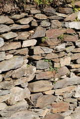 Another brick in the wall