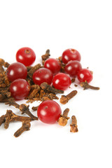 Carnation and cranberry on white background