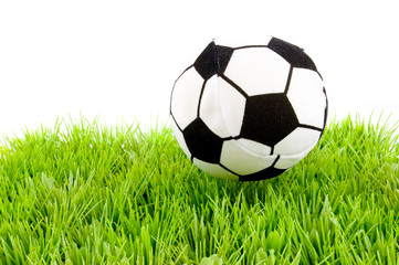 soccerball on the grass
