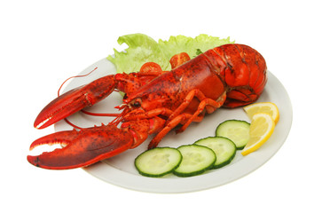 Lobster and garnish