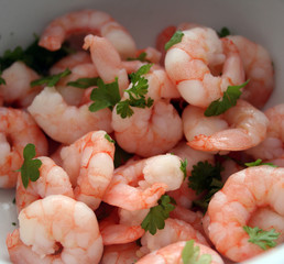 Shrimps