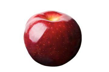 Perfect Red Apple Isolated on White