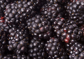 Blackberries Background