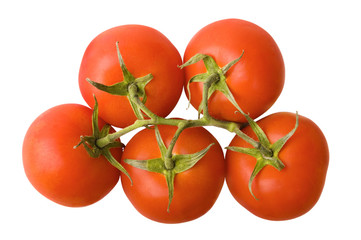 Totatoes Top View Isolated on White