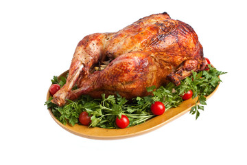 isolated roasted turkey