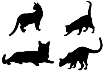 Gatti Sagome-Cats shapes-Chat vectoriel