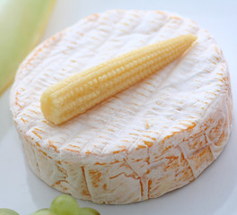 Schimmelkäse