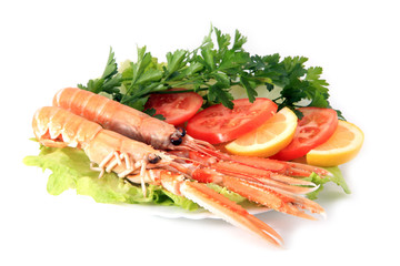 Norway lobster