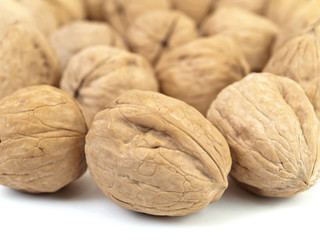 walnut