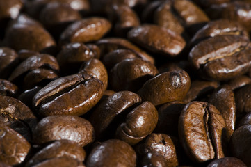 fresh brown coffee beans background
