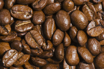 fresh brown coffee beans background