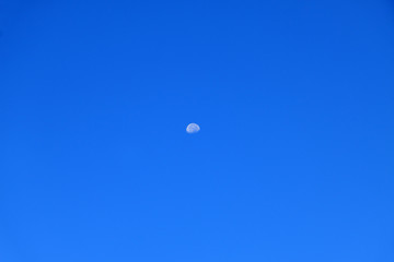 Lune sur ciel bleu