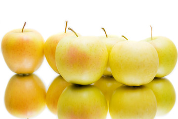 lots of yellow apples isolated on white