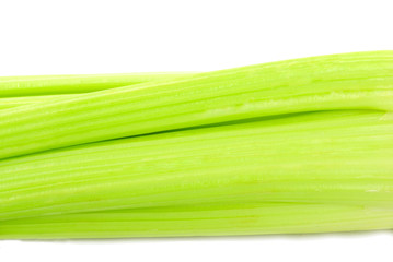 Green celery 2
