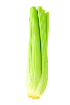 Green celery 4