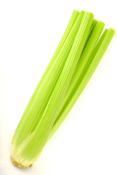 green celery 9
