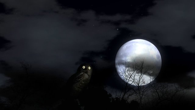 Owl HD 720