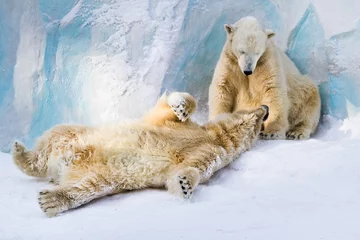 Fotobehang Ijsbeer IJsberen paar