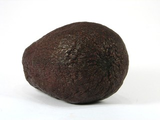 Avokado