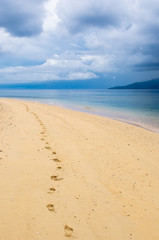 Fototapeta na wymiar ślady na tropikalnej plaży