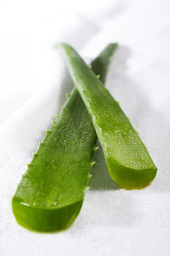 Betaut Aloe Vera