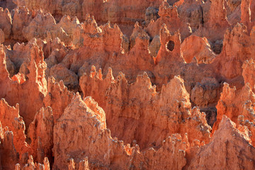 Bryce Canyon 03
