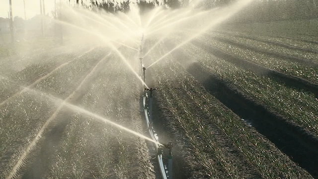 Sprinkler irrigation for watering cultivated field