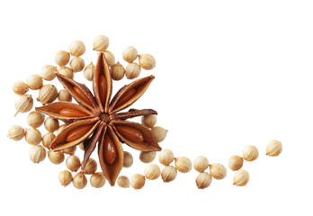 Anise and Cilantro seeds