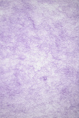 Japanese Paper  (薄紫＿繊維)