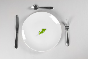White Plate and Diet