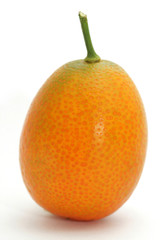 kumquat